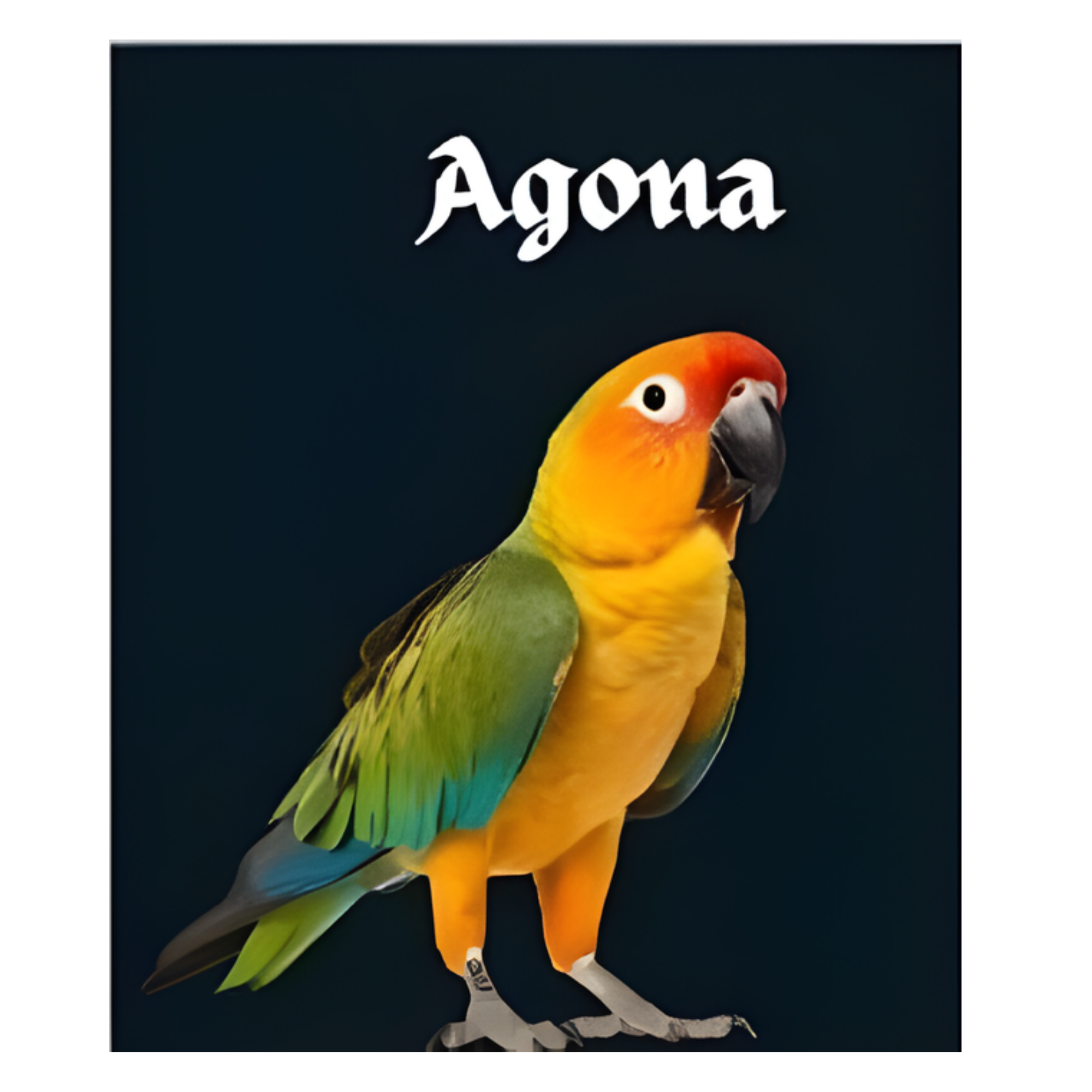 AGONA