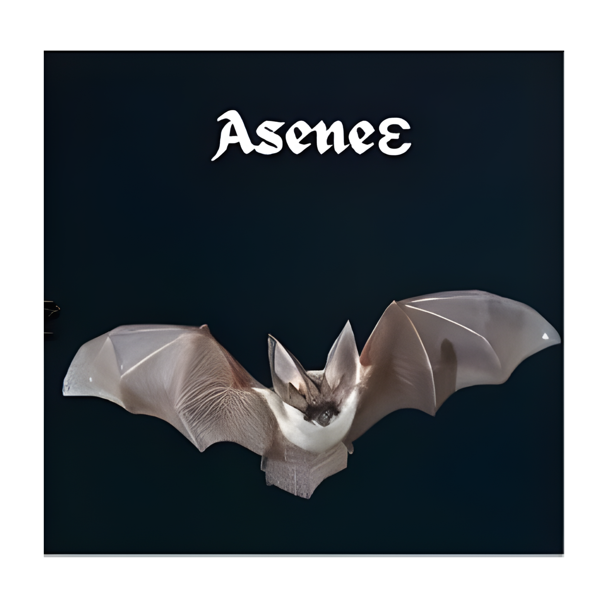 ASENIE