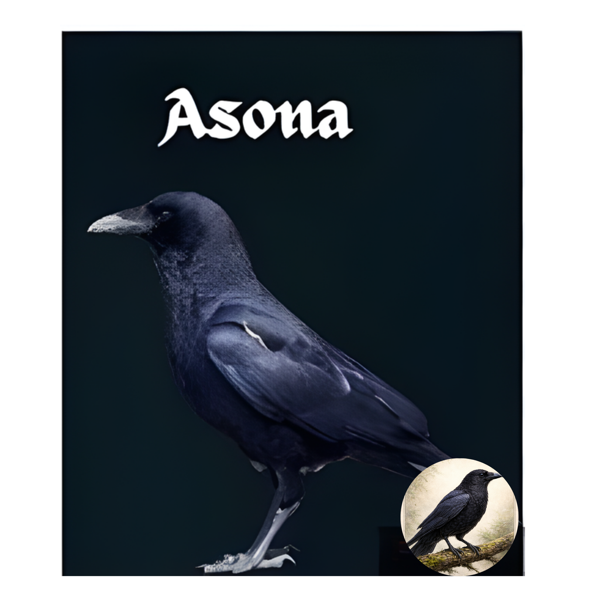 ASONA